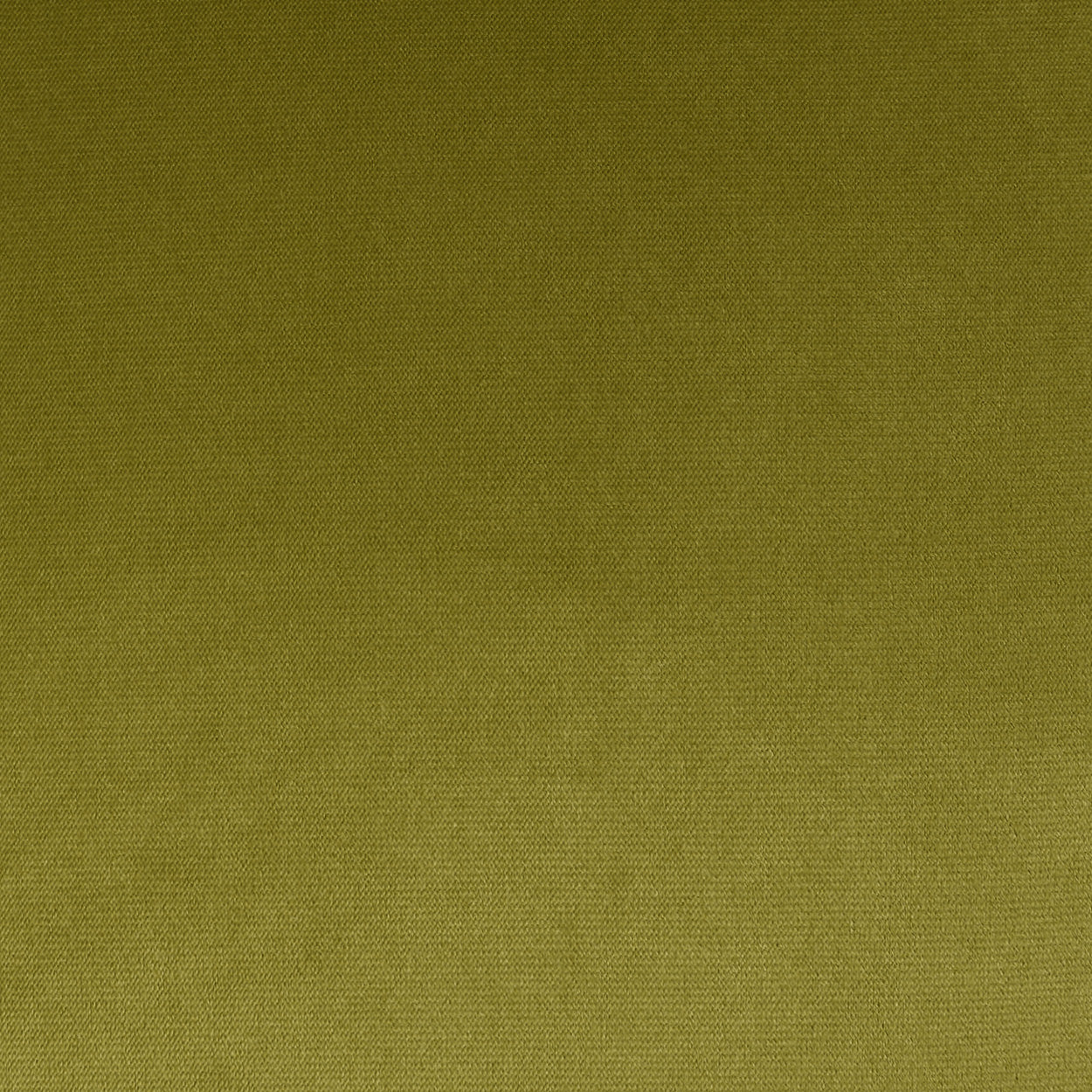 D.V. Kap Home Belvedere Flange Pillow - Aloe