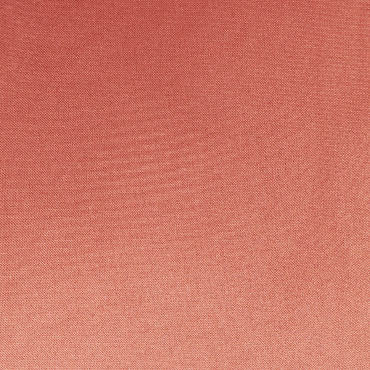 D.V. Kap Home Belvedere Flange Pillow - Blush