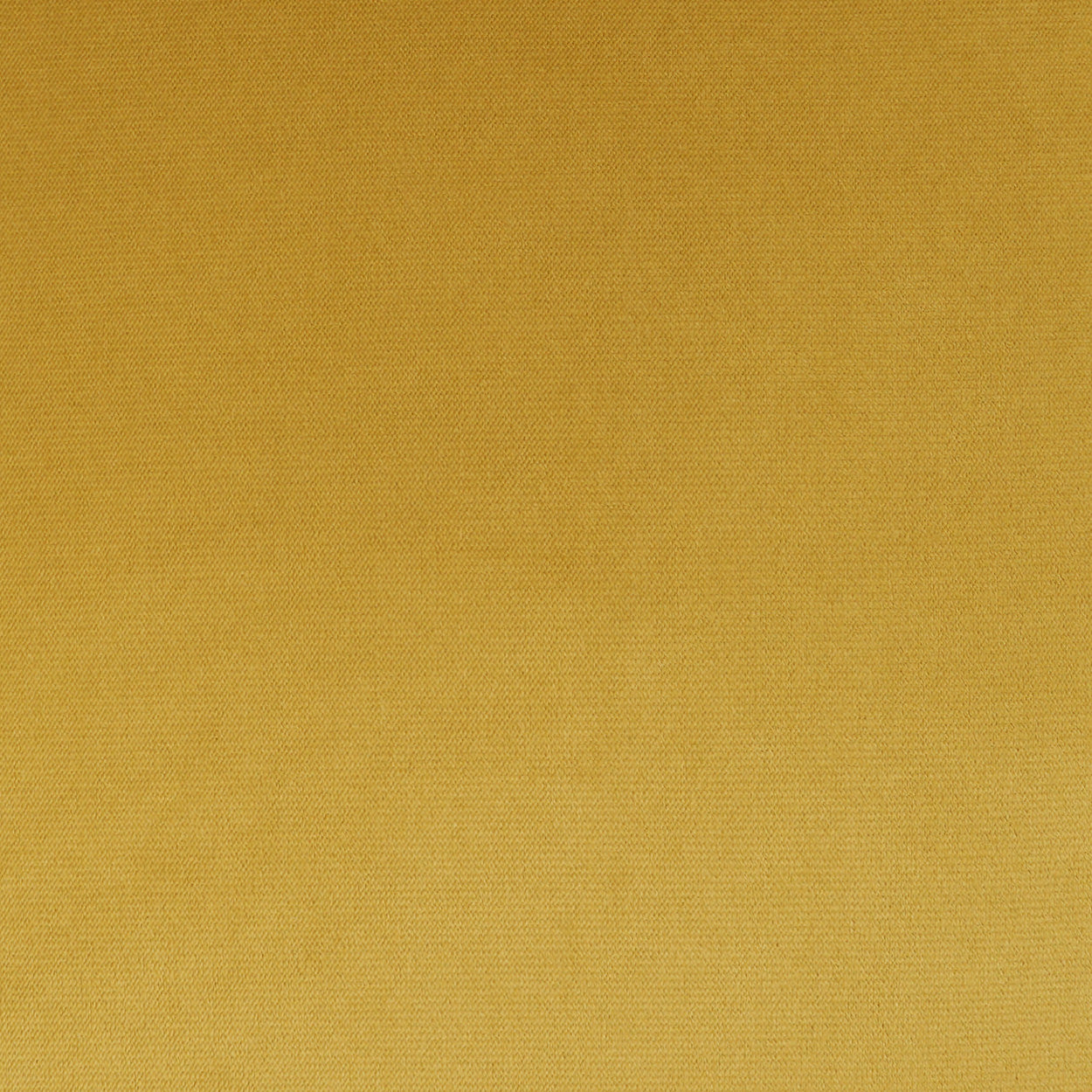 D.V. Kap Home Belvedere Flange Pillow - Curry
