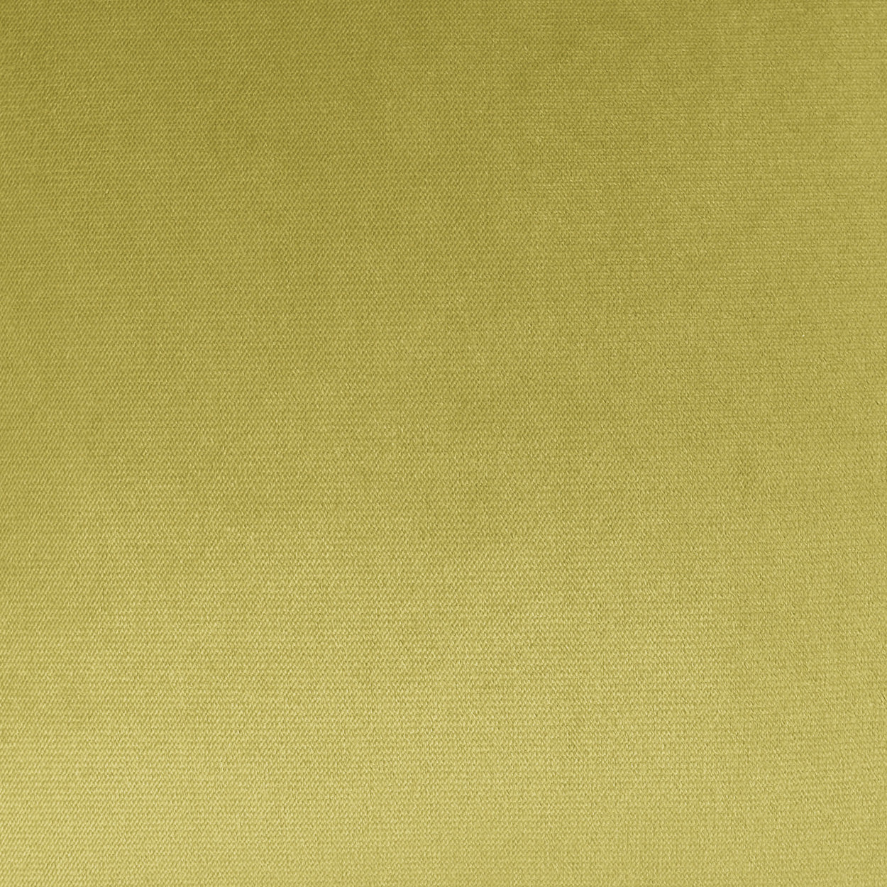 D.V. Kap Home Belvedere Pillow - Lime