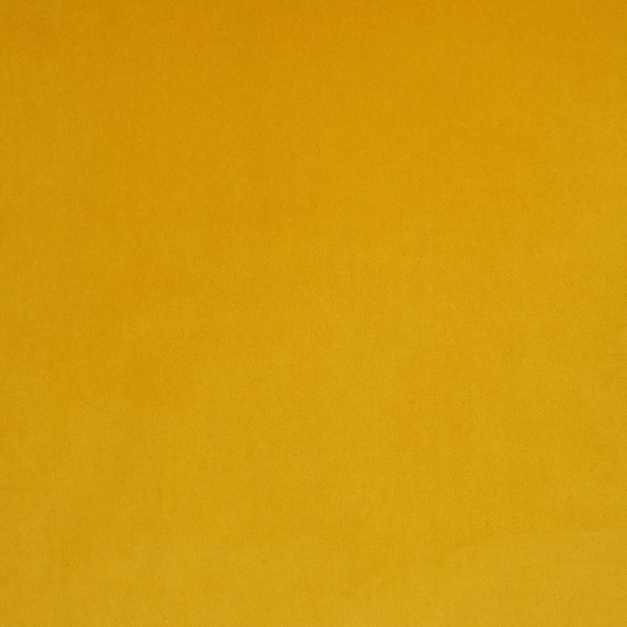 D.V. Kap Home Posh Duo Pillow - Mustard