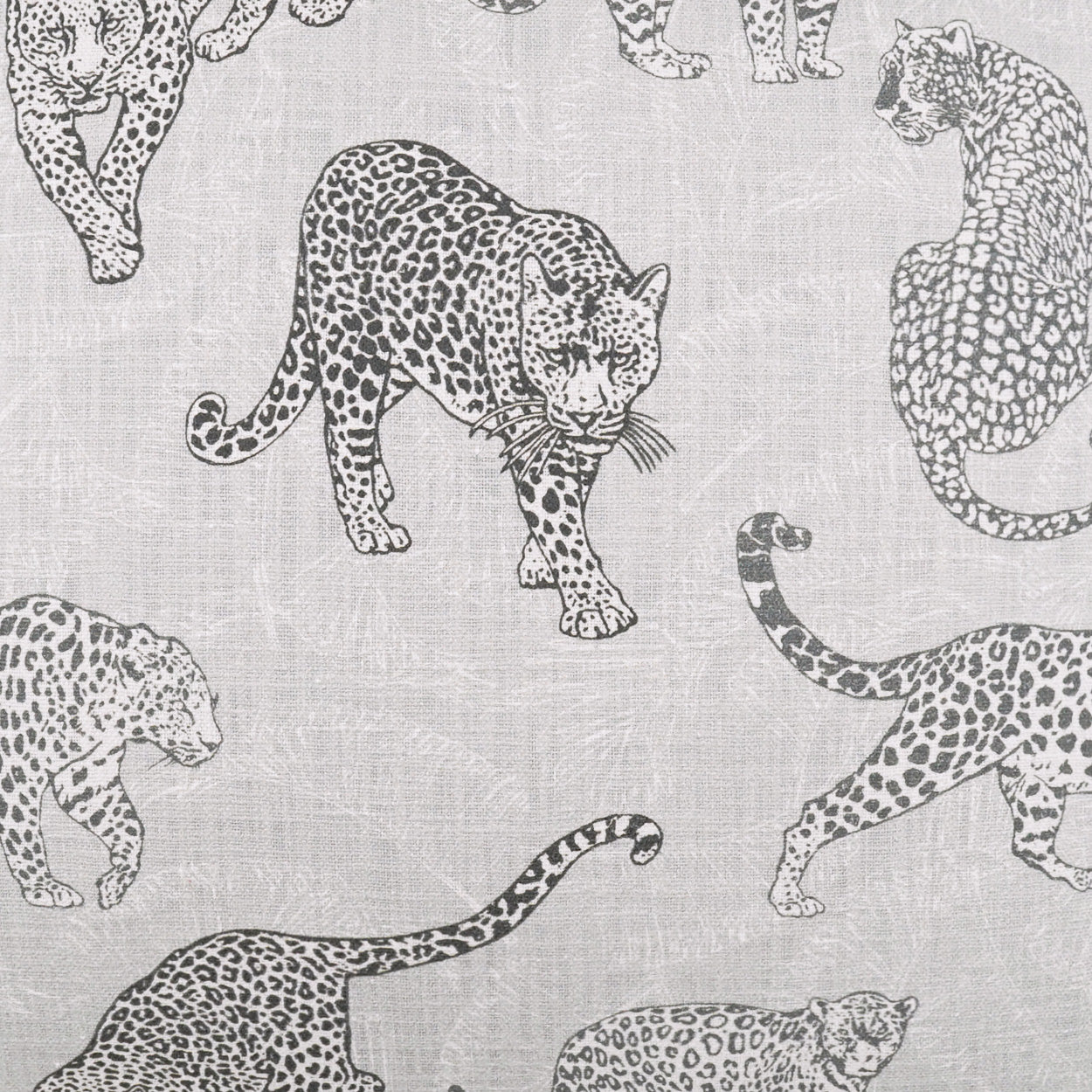 D.V. Kap Home Felidae Pillow