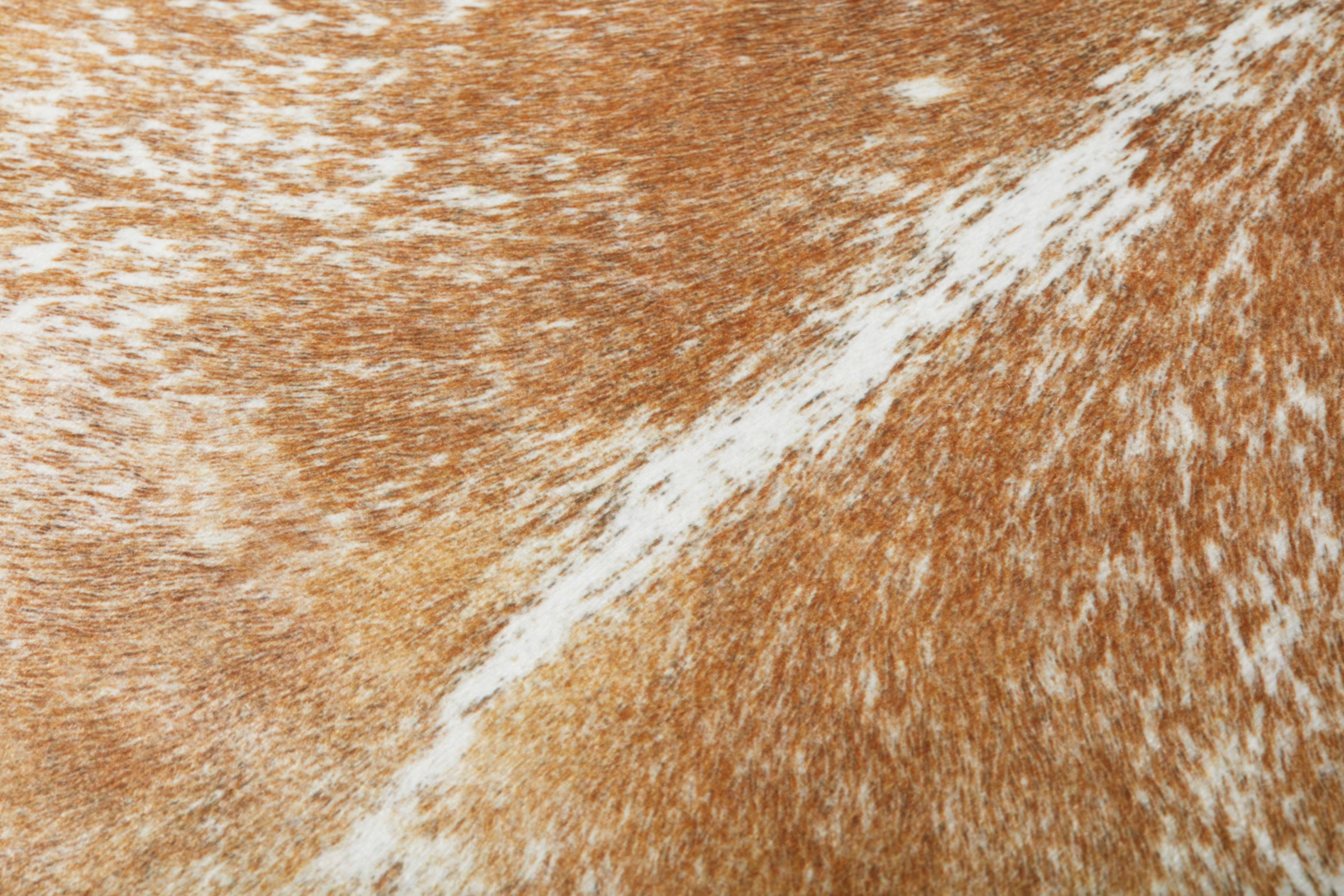 Loloi Pillow - Beige / White (FP0002)