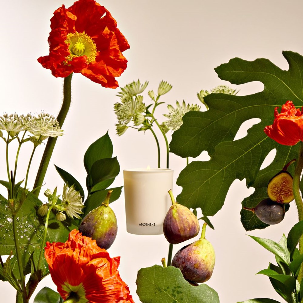 Apotheke Fig and Olive Leaf Votive Candle