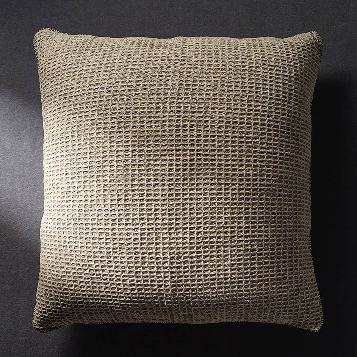 Jaipur Living Margosa Pillow - Tan (MGP28)
