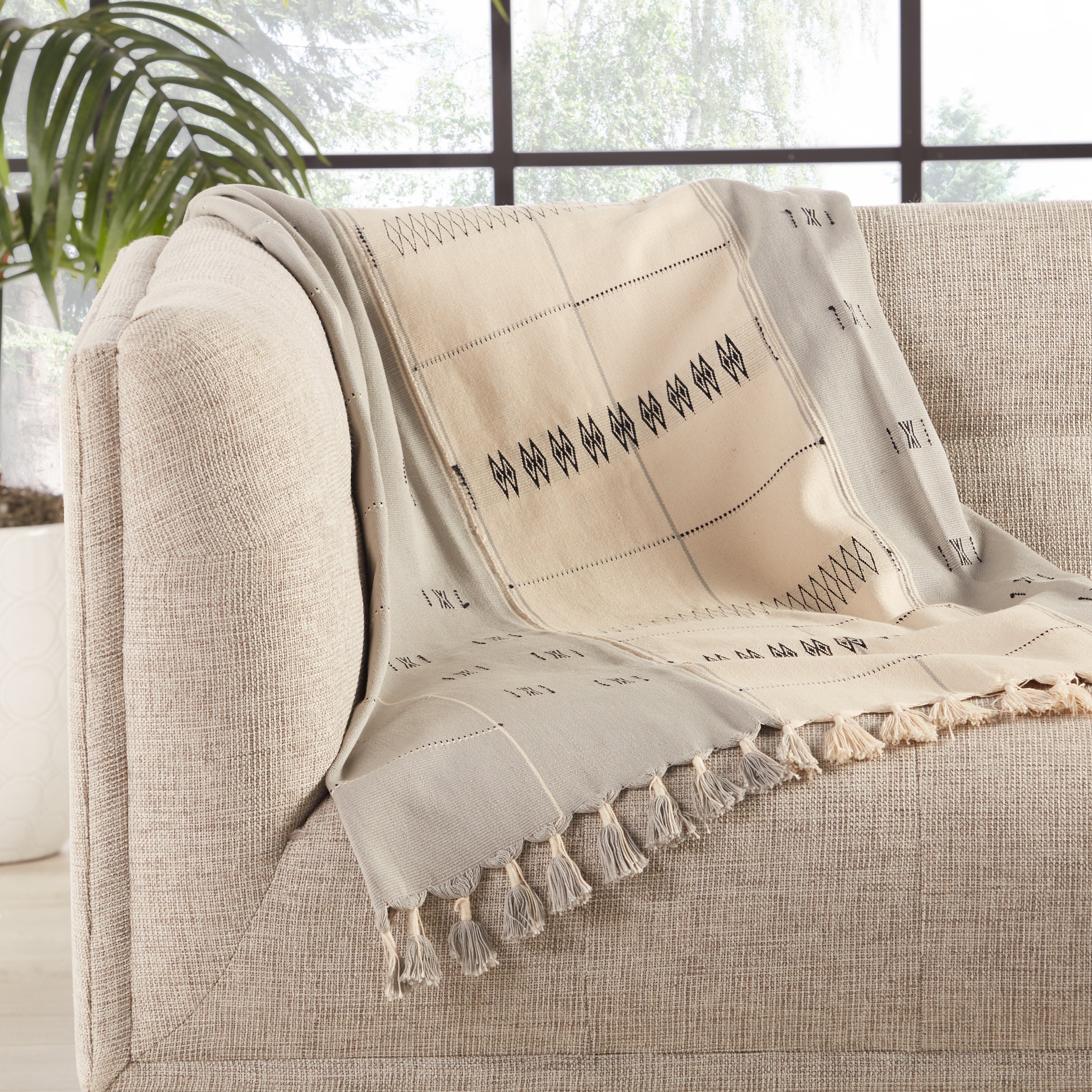 Jaipur Living Sekrenyi Throw - Cream/Gray (NGD05)