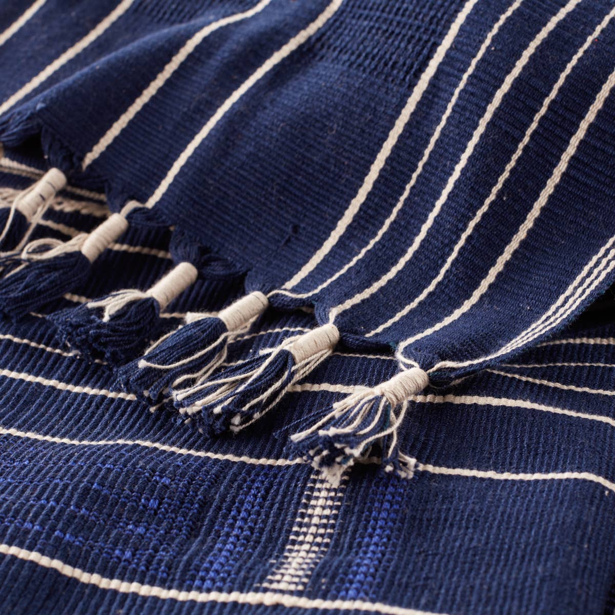 Jaipur Living Nagaland Throw - Blue/Ivory (NGD06)