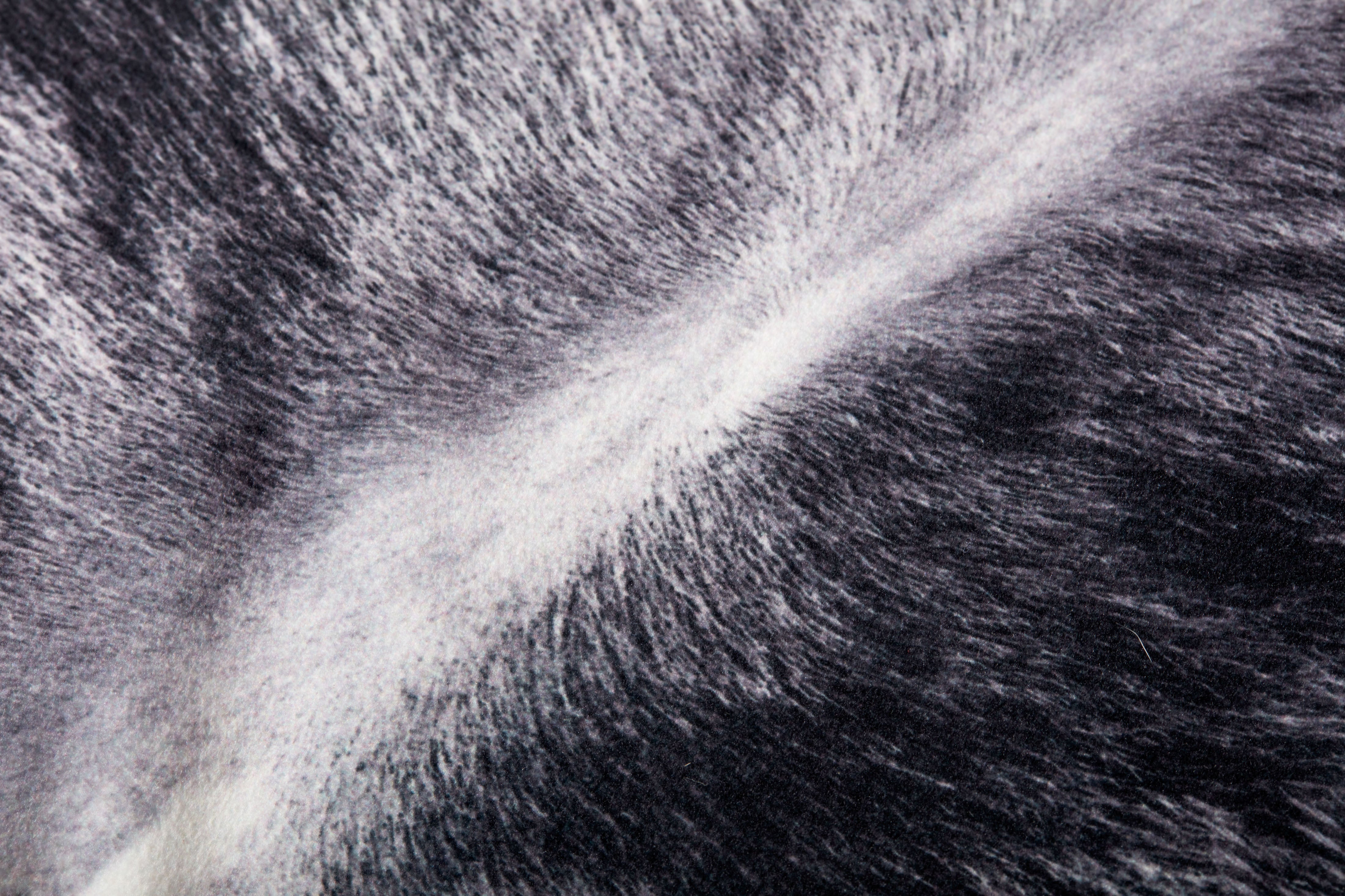 Loloi Pillow - Charcoal (P0979)
