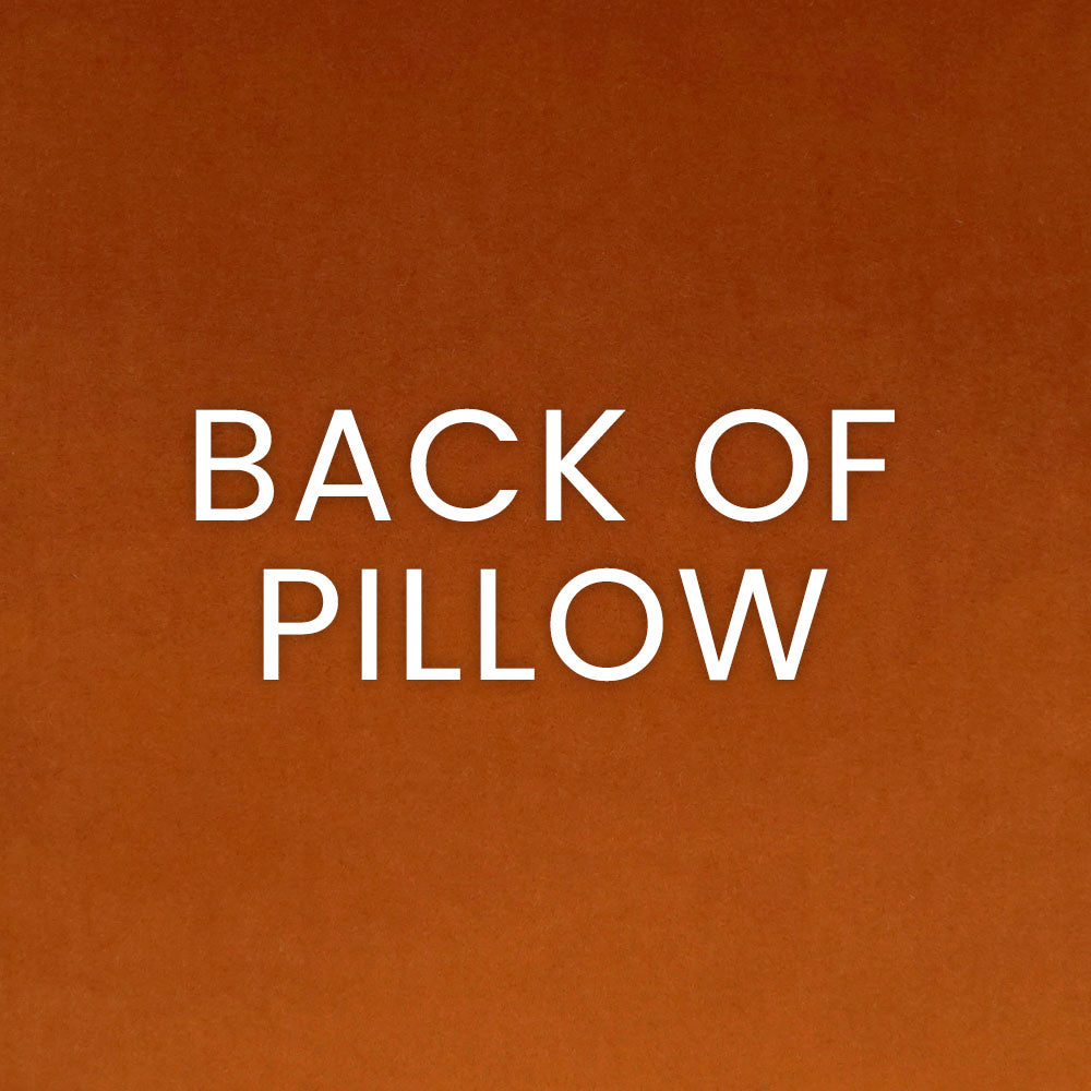 D.V. Kap Home Toro Pillow - Orange