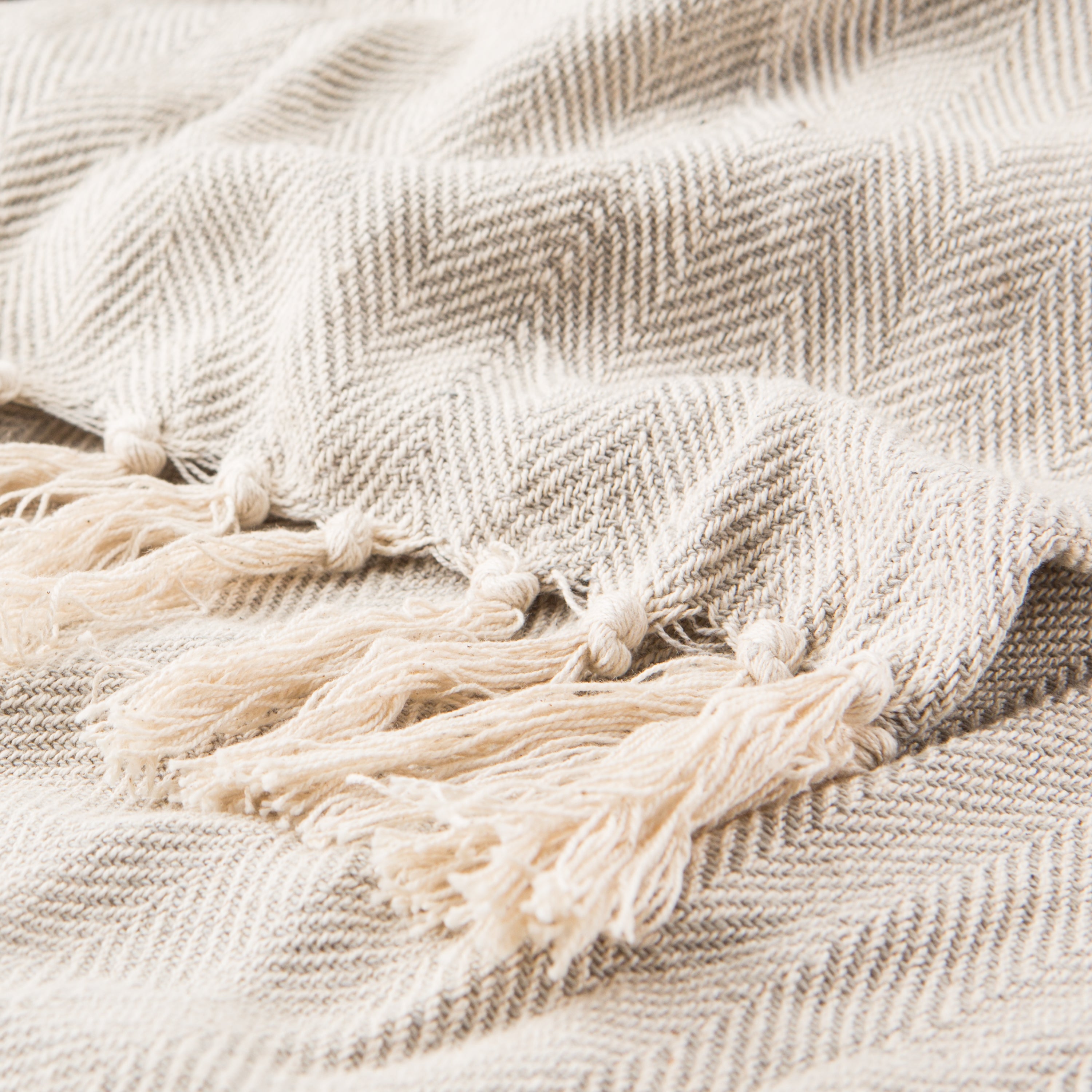 Jaipur Living Sea-01 Throw - Gray/Cream (SEA06)
