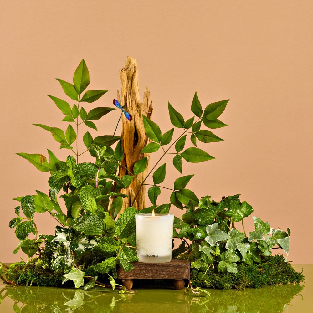 Apotheke Wild Mint and Ivy Votive Candle
